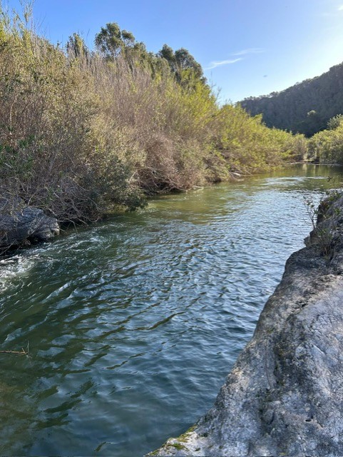 Font de la Finestra — foto 4