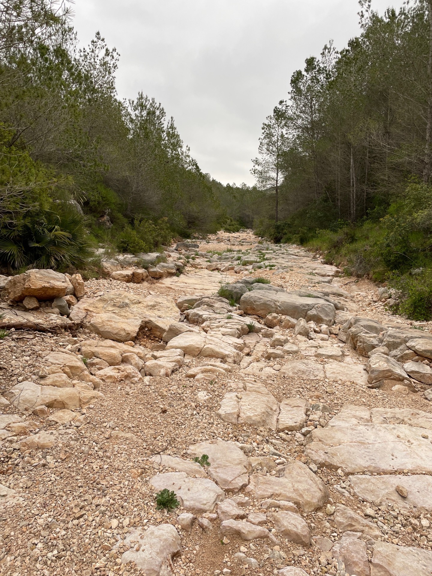 Serra d'Aledua en Llombai Variant Curta — foto 2