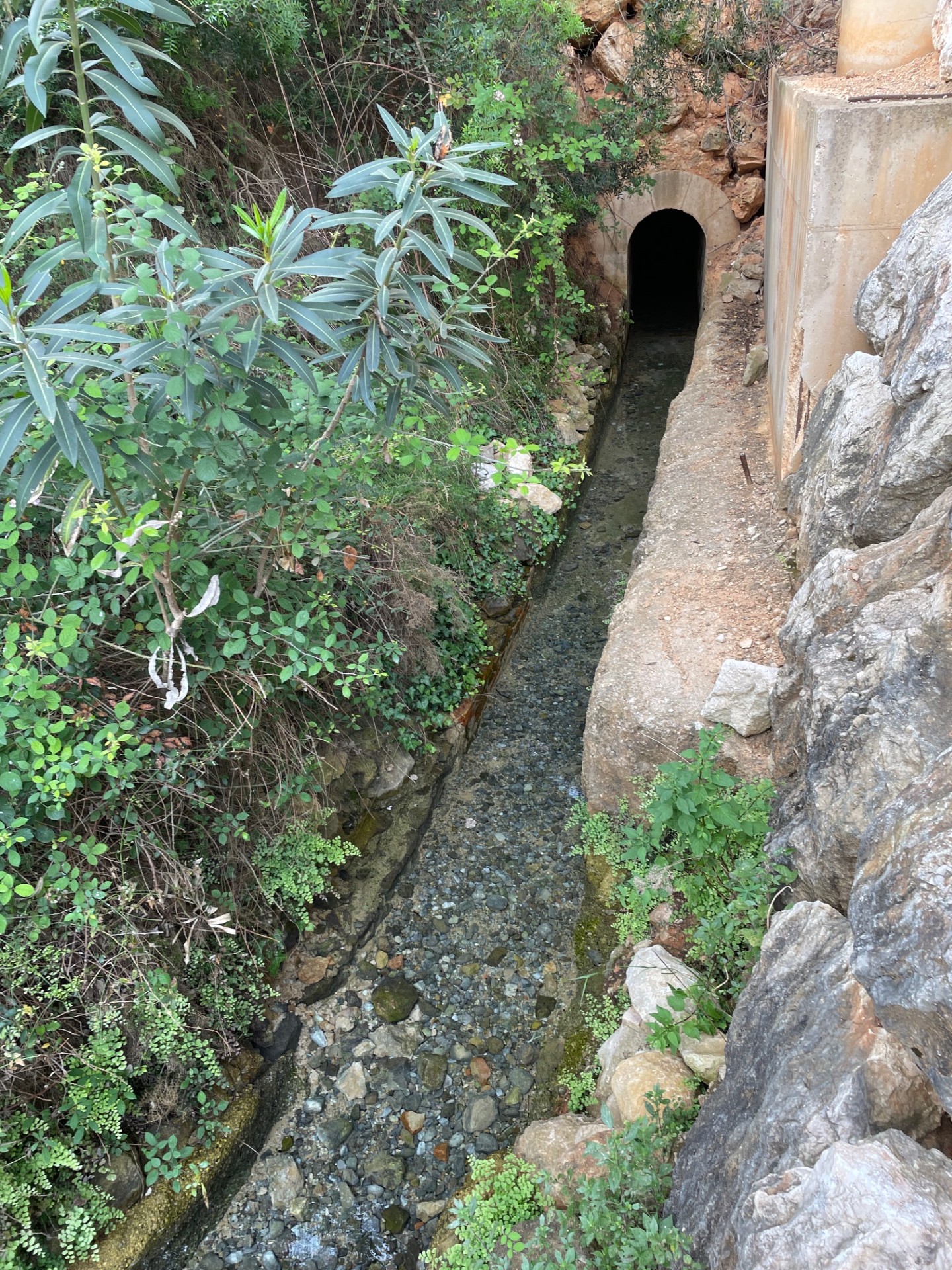 Adzeneta Albaida — foto 6