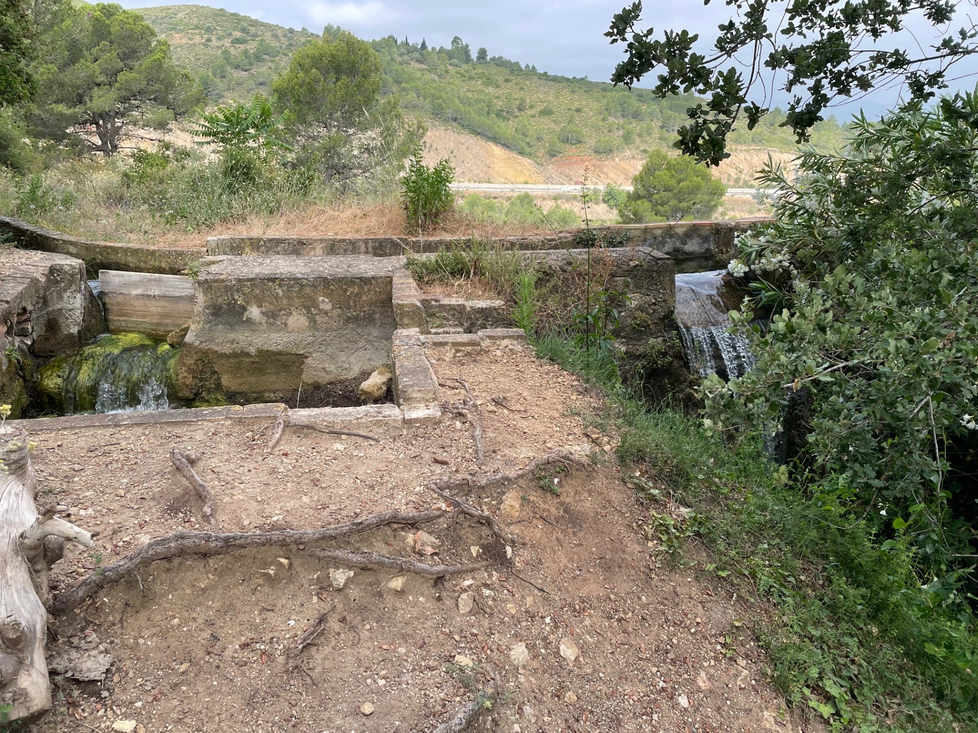 Adzeneta Albaida — foto 3
